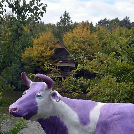 Rancho 555 Guest House Uzhhorod Bagian luar foto