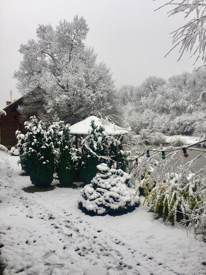 Rancho 555 Guest House Uzhhorod Bagian luar foto